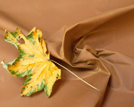 Organic Cotton Traditional Oilskin in Dark Ochre Yellow