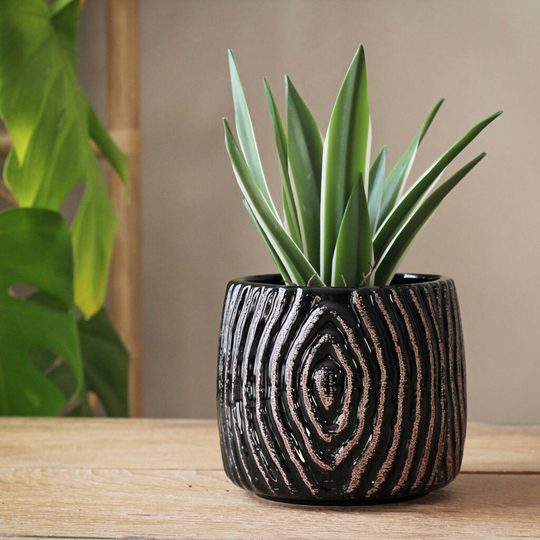 Black Glossy Planter