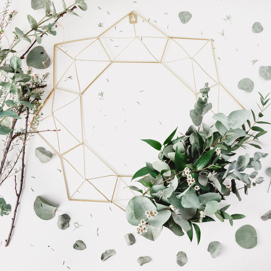 A Mix Of Eucalyptus Seeds, Free Tracked Expedited Shipping