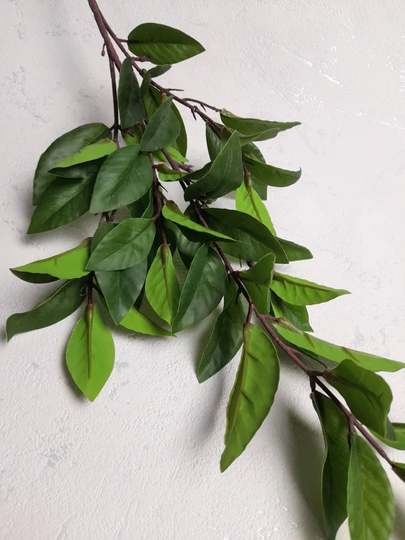 Artificial Bay Leaf, Herbs, Garden Leaves, Green Plant Home Decor, Kitchen Herbs