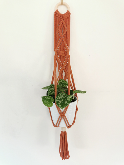 Handmade Macrame Plant Hanger, Wall Hanger For Plants, Diamond Deisgn, Purple & Terracotta Colour Options, Boho Style