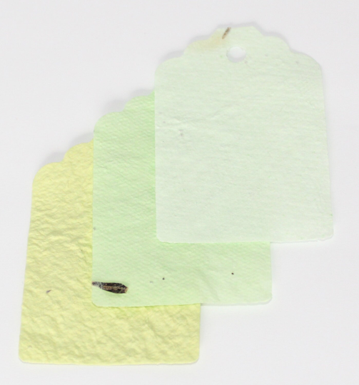 12 Eco Friendly, Seed Gift Tags in Light Green & Lime, Plantable Paper , Recycled With Flower Seeds