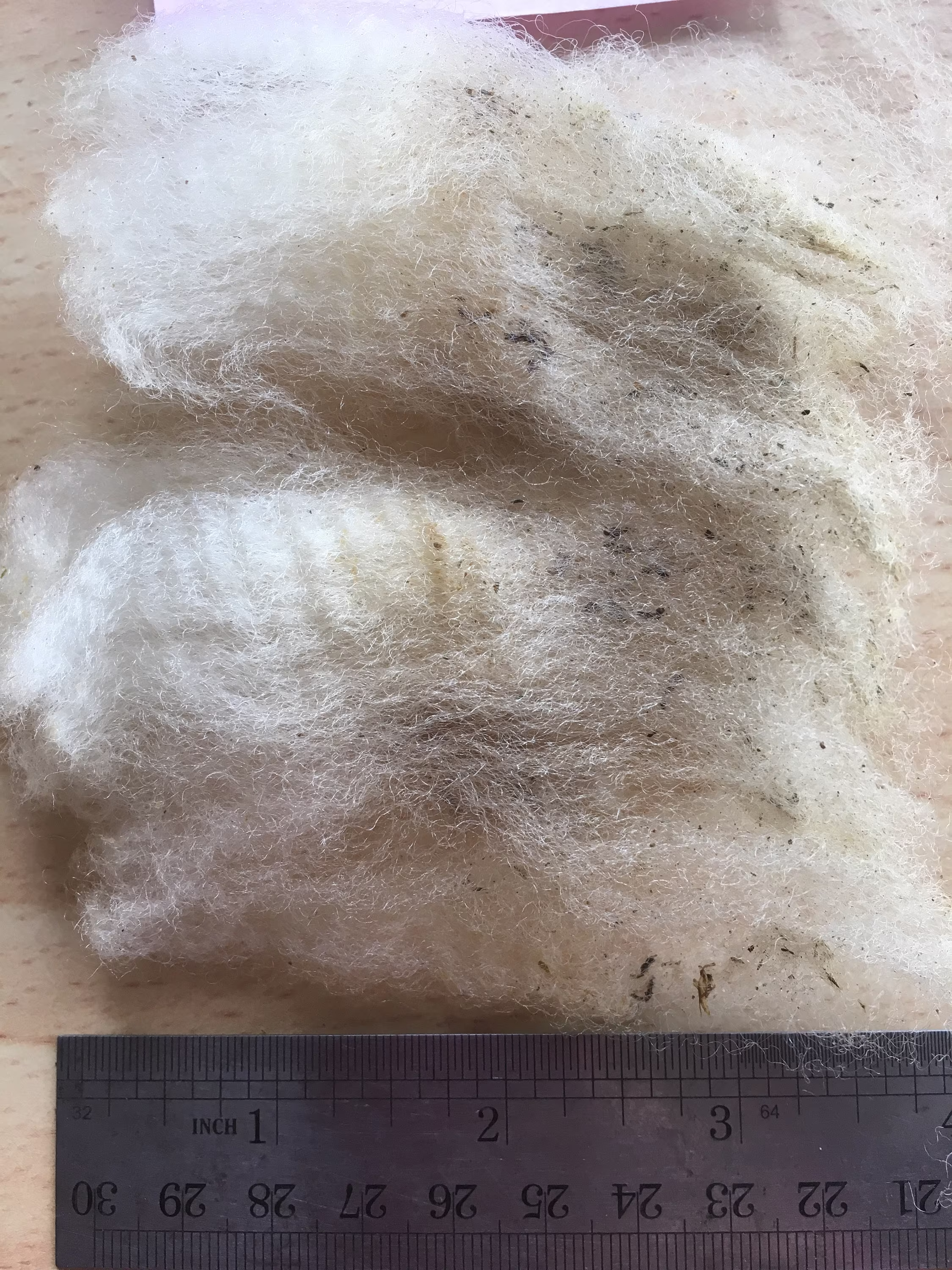 Pure Organic Romeldale Wool