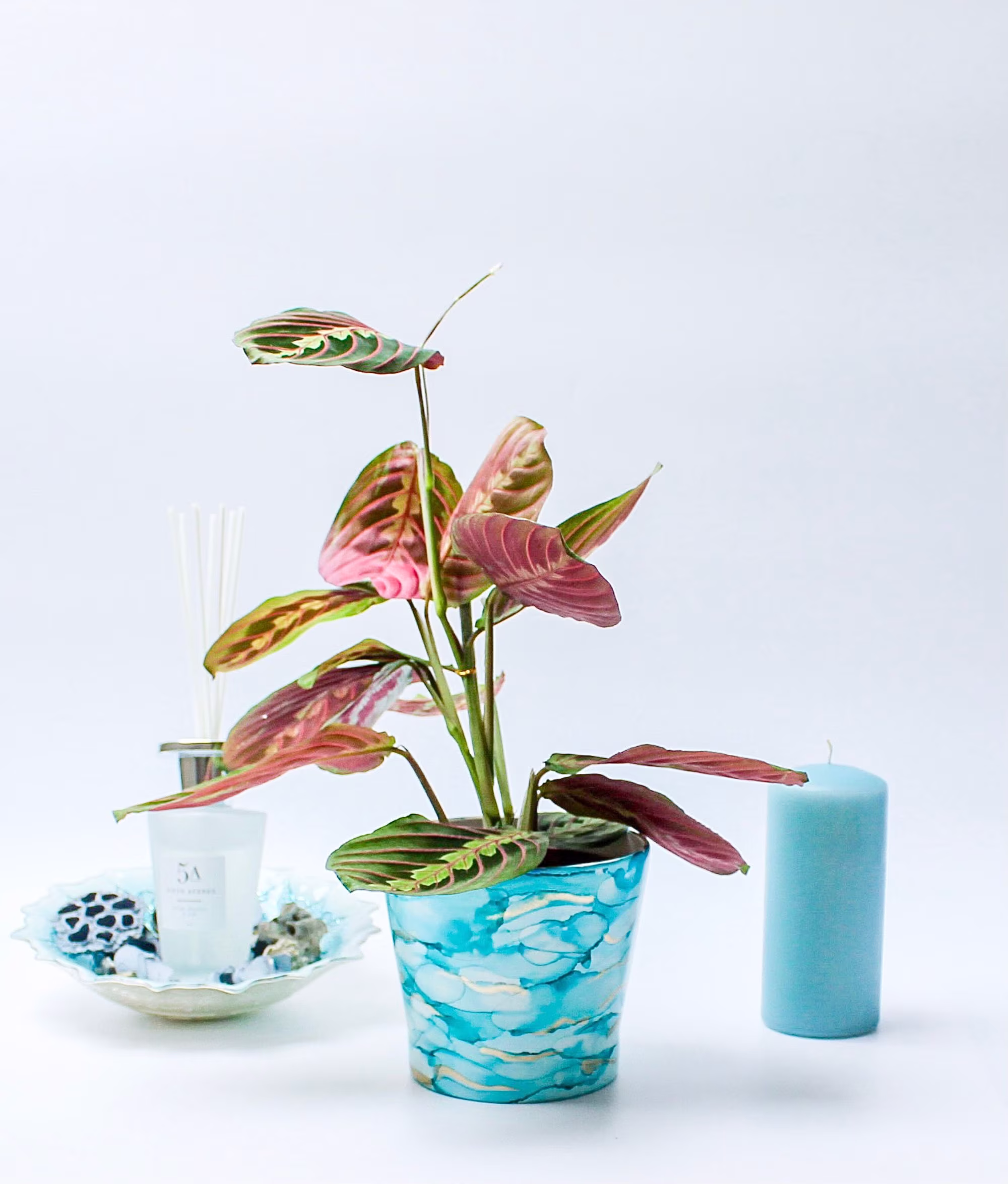 Ceramic Plant Pot, Succulent Planter, Hand Painted, Unique Home Décor, House Pot