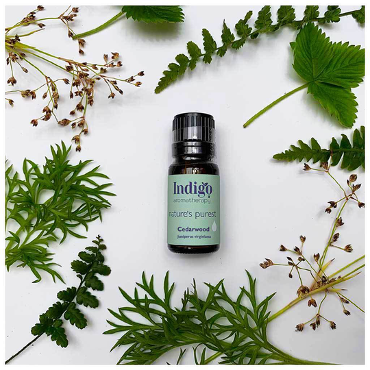 Cedarwood Pure Essential Oil