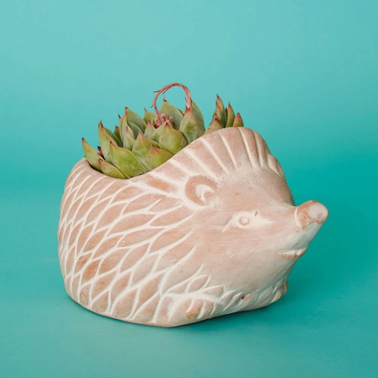 Bangladesh Small Rustic Succulent Terracotta Hedgehog Planter