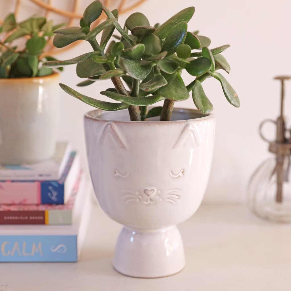 Sass & Belle Speckled Ceramic Cat Planter, H14cm