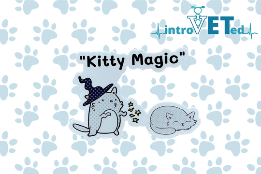 Veterinarian Sticker, Cat Vet Tech Student Anesthesiologist, Funny Gift