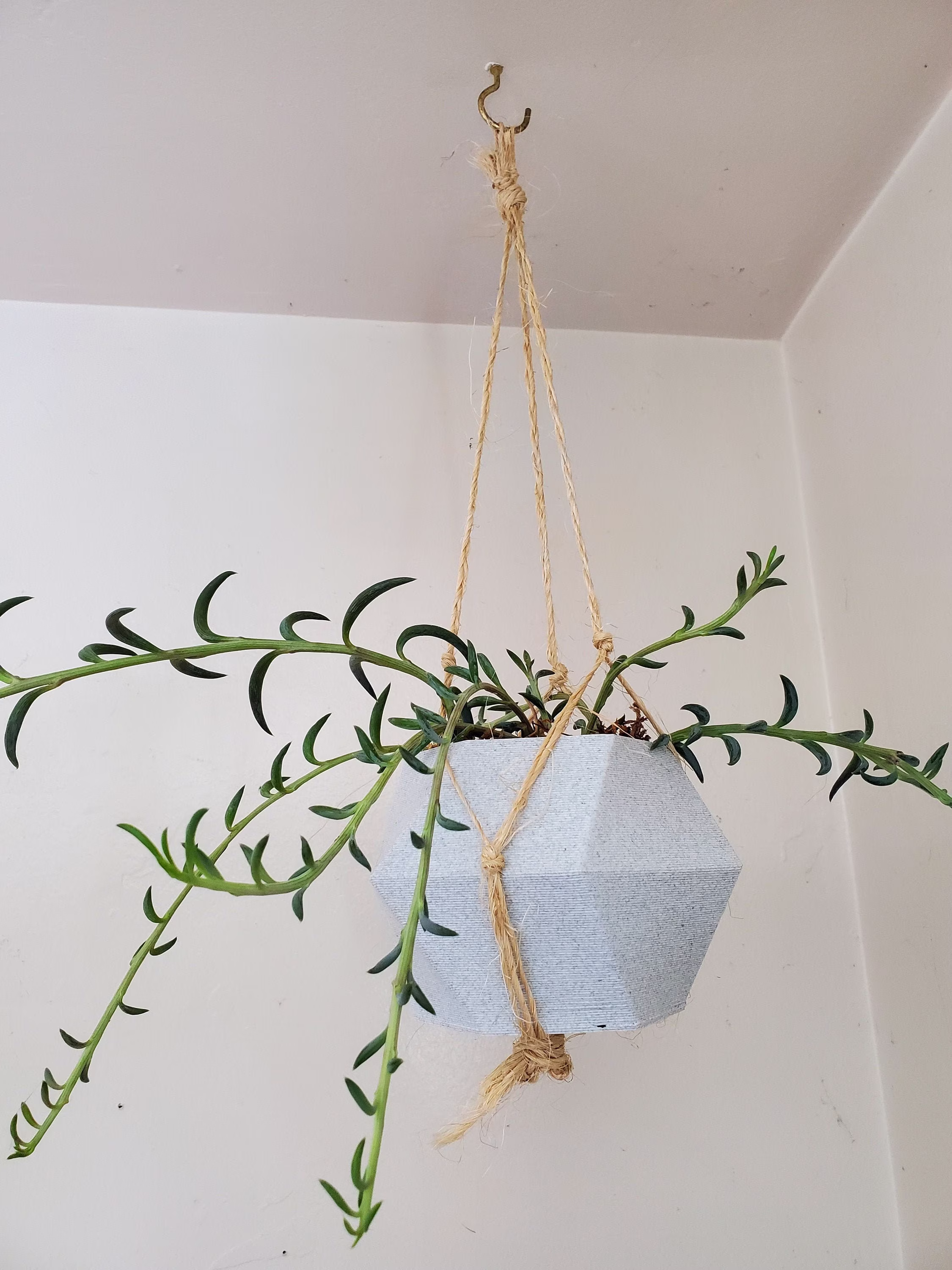 Custom Spiraling Hexagon Planter, 3D Printed Indoor Planter Pot With Drainage, Not Ceramic, Succulent Houseplant Polygon