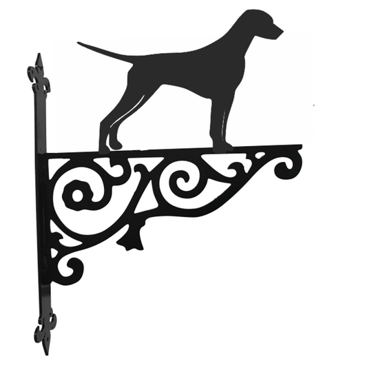 Dalmatian Ornamental Hanging Bracket - Contemporary Basket Wall Mounted Decorative Garden Black