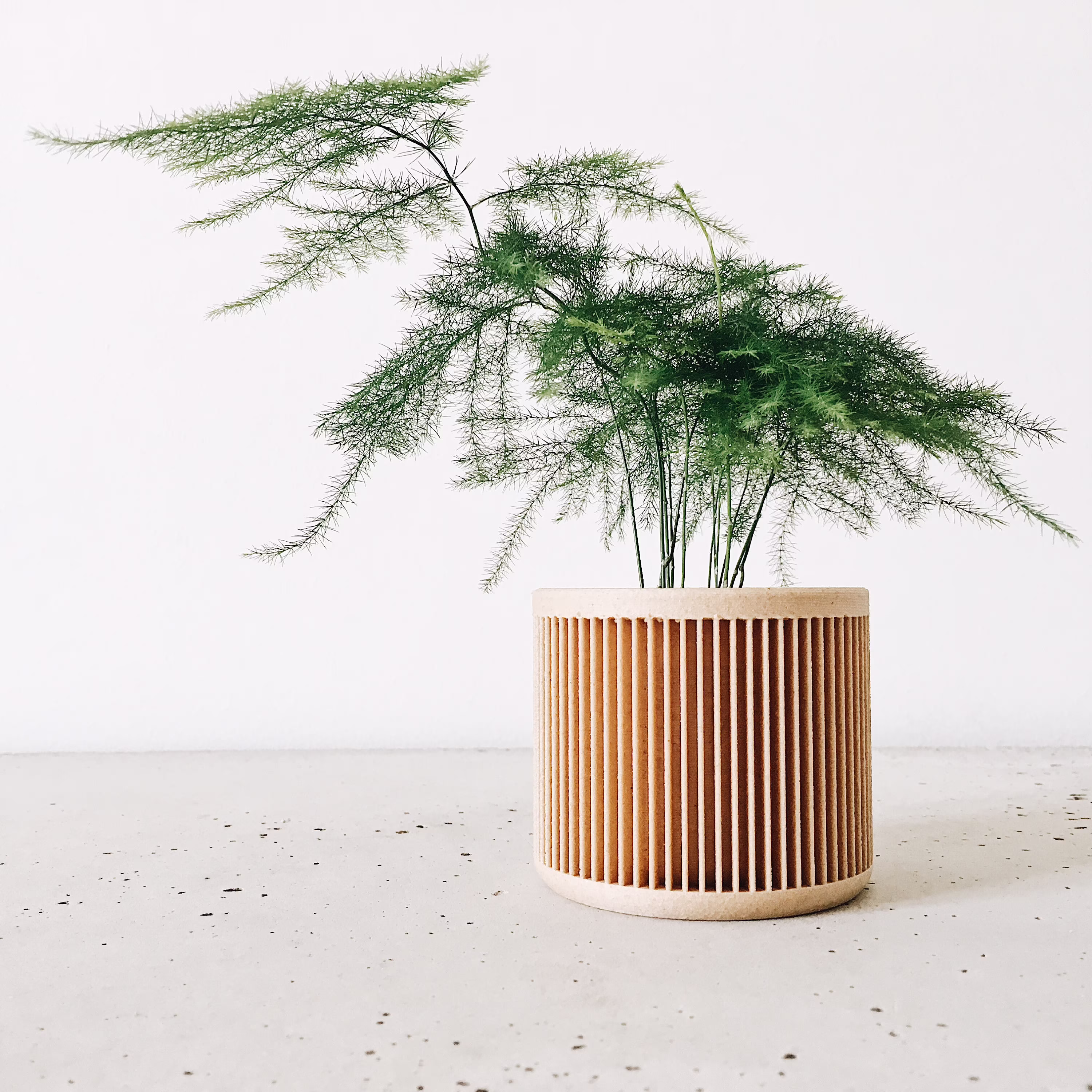 Indoor Planter - Japan Original Gift
