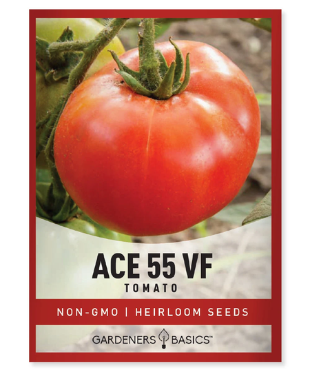 Ace 55 Vf Tomato Seeds For Planting - Heirloom, Non-Gmo Vegetable Great Outdoor Home Garden