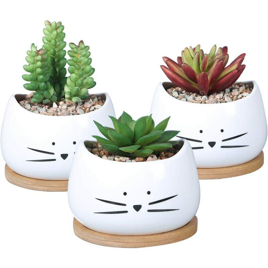 Bearsu - 3.2 Inch Cute Cat Ceramic Succulent Planter Pots with Removable Saucer Unique Cactus Planters Porcelain Decorative Flower Pot for Cat Lovers