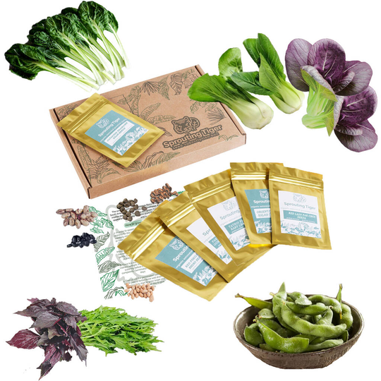Grow Your Own Oriental Vegetables Gift Set