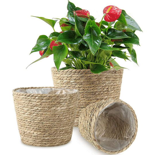 Briday - Plant Basket 3 Pack Seagrass Baskets Hand Woven Planters Basket with Waterproof Plastic Liner Plant Pots Containers Cover Storage Organizer