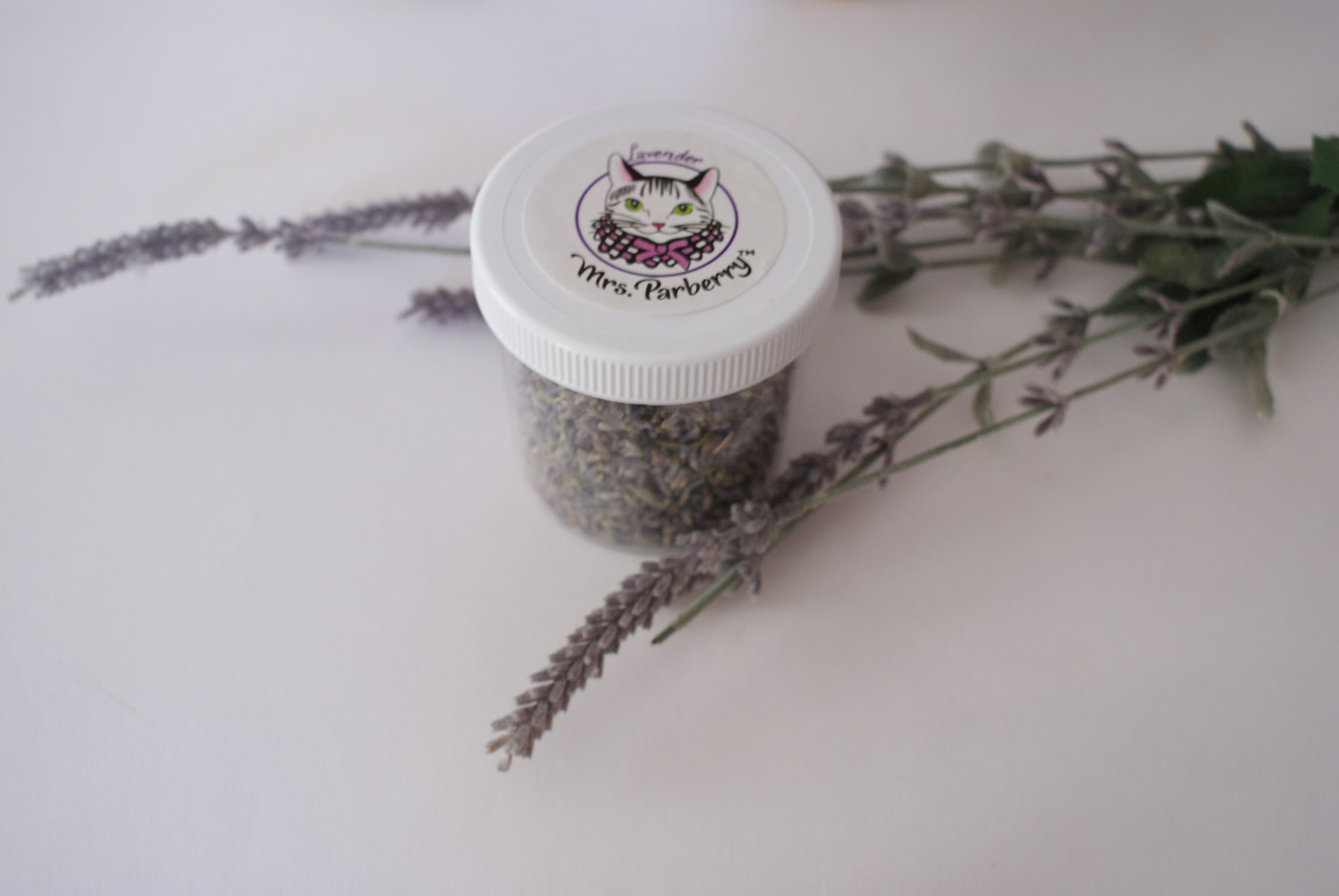 Culinary Lavender - Organic For Cooking Baking Gift Chef Baker Flowers