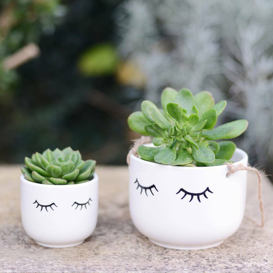 Cute Face Plant Pot With Choice Of Plant