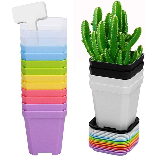7cm Set of 10 Small Colorful Flower Pots Mini Square Flower Pots Plastic Plant Pots mit Labels for Succulent Plant Cactus for Garden Balcony Bedroom