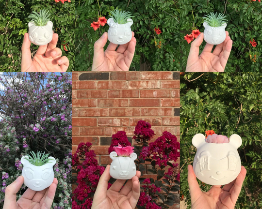 Judy Stitches Bluebear June Maple Cheri Succulent Planter | Modern 3D Printed With Drainage Indoor