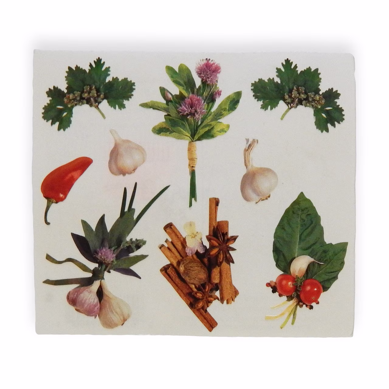 Vintage Herbs & Spices Sticker Sheet