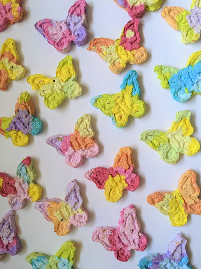 Colourful Butterfly Seed Bombs Pack Of 4