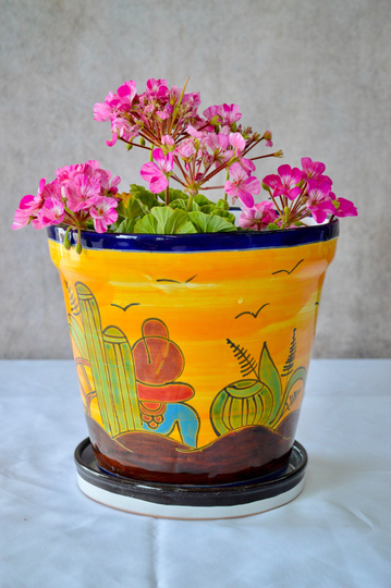 Pot With Plate