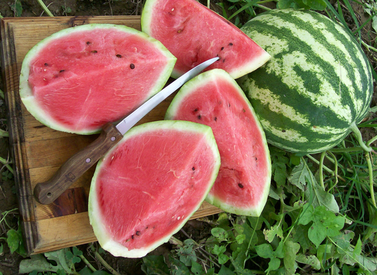 Fruit - Water Melon Crimson Sweet 18 Premium Quality Seeds