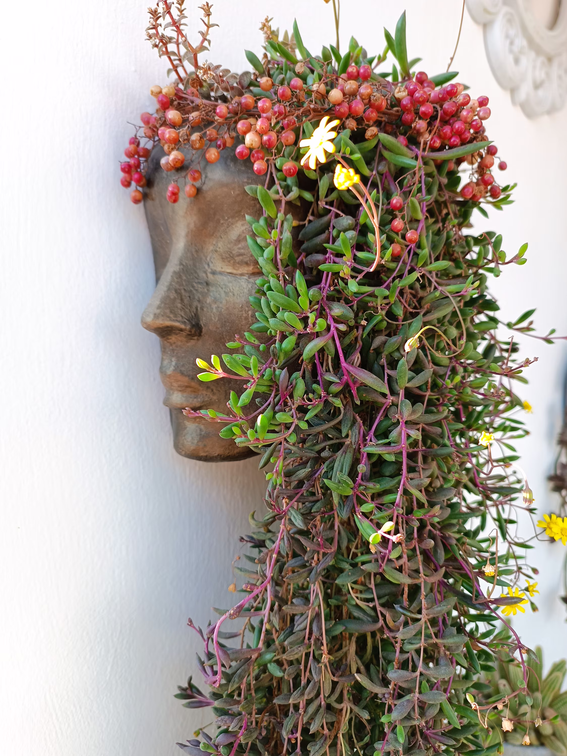 Face Planter, Wall Planters, Head Pots For Plants, Pots, Art, Concrete, Planters And