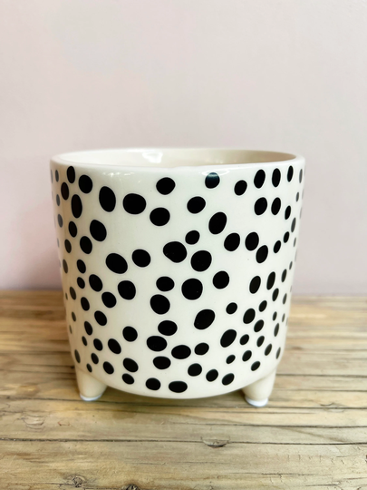 Dalmatian Pot