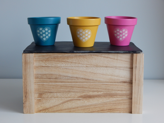 Hand Painted Terracotta Pots - Bright Edition Plant Heart Small Succulent Cactus Herbs