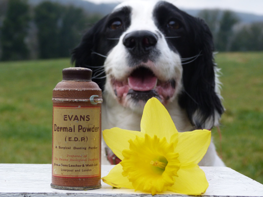 Vintage Evans Dermal Powder Tin | With Some Contents Remaining - Liverpool
