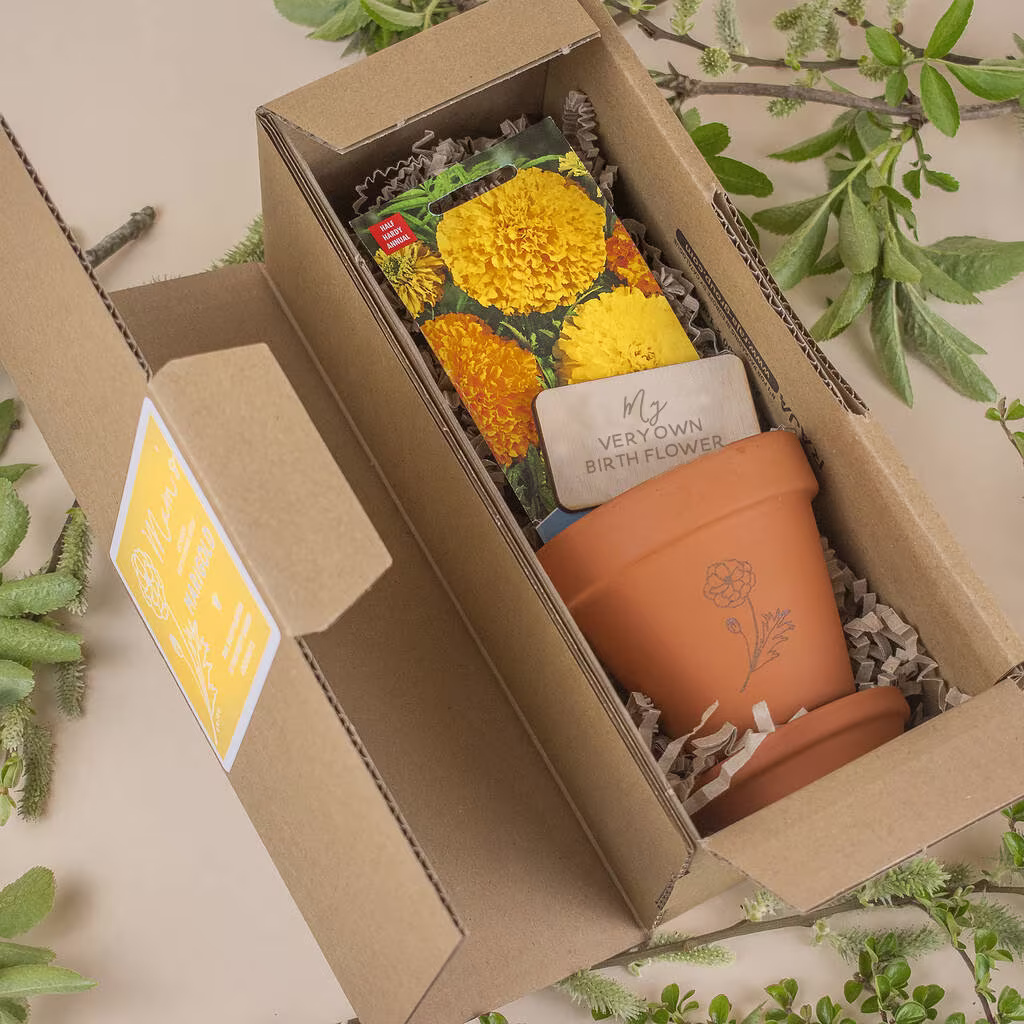 Birth Flower Seed Growing Gift Set, Floral Terracotta Pot With Seeds, Personalised Wooden Plant Label, Kit, Grow Your Own