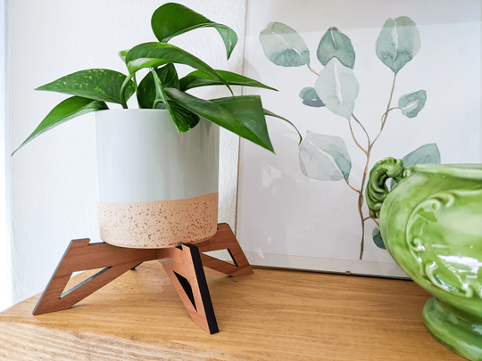 Plant Stand | Small Mini Plant Riser 4 Inch Stand