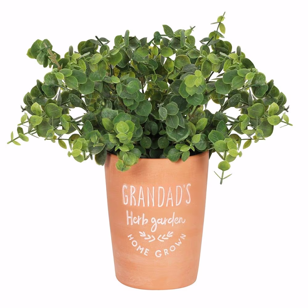 Grandad's Plant Pot/Herb Garden/Terracotta Pot