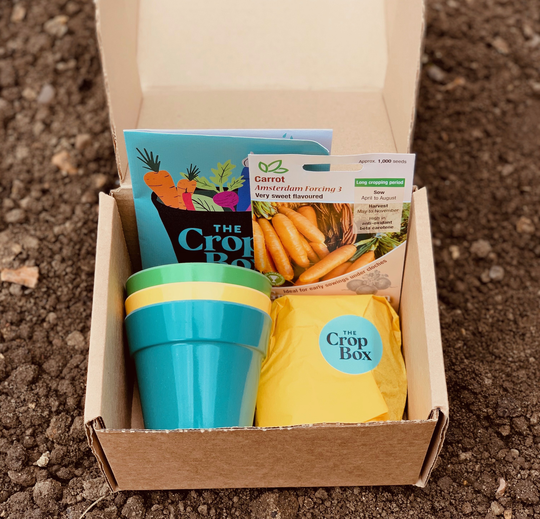 Grow Your Own Carrots Kit For Children