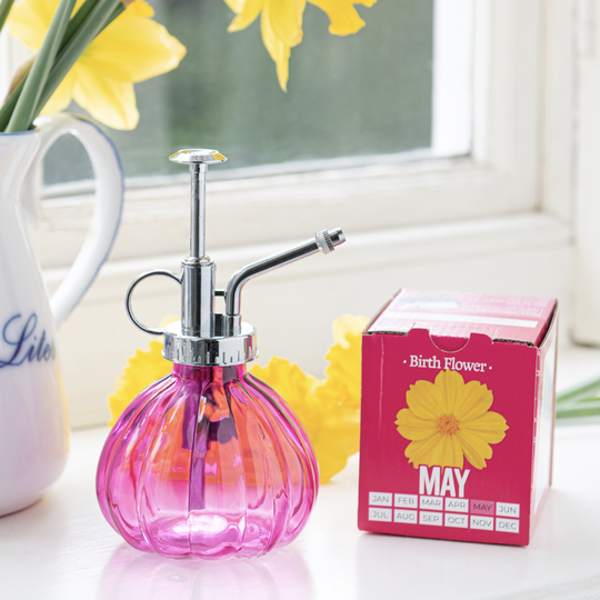 Grow Your Own Birth Flower With Glass Mister