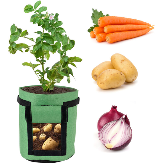 Non-woven plant growth bag seedling bag (one pack), large 10 gallons green - large 10 gallons green