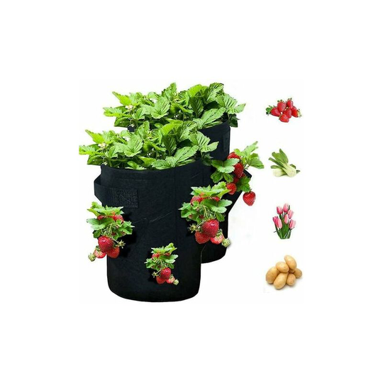 Echoo - Strawberry Grow Bags, 2 Pack 10 Gallon Strawberry Grow Bags with 2 Handles and 8 Side Grow Pockets, Strawberry Herb Felt Grow Bags