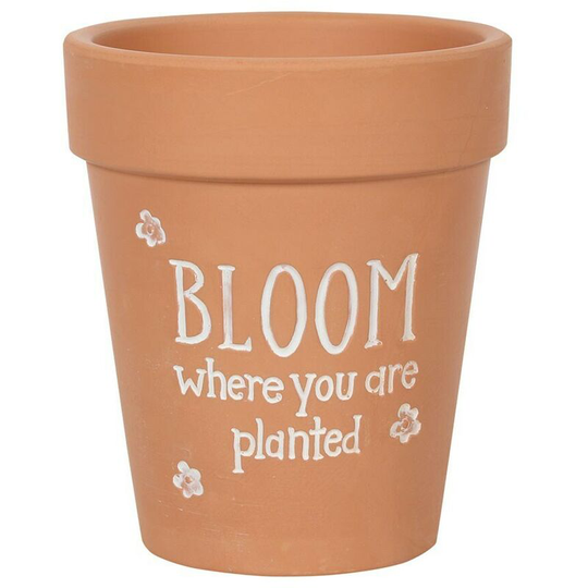 Something Different - Bloom Where You Are Planted Terracotta Plant Pot (17cm x 15cm x 15cm) (Brown/White) - Brown/White
