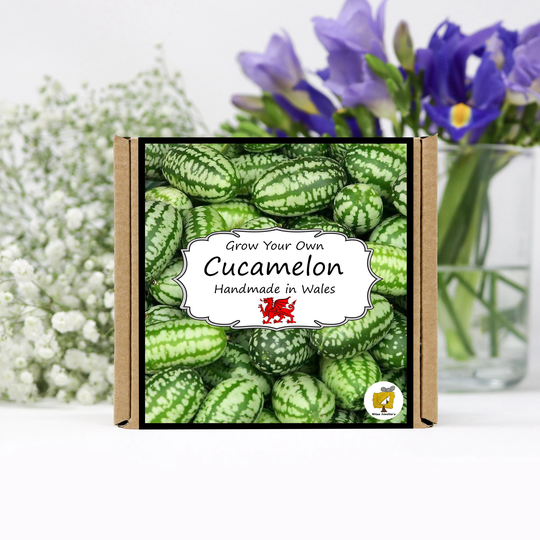 Grow Your Own Cucamelon Plant Kit. Seeds Growing Kit. Gardening Gifts For Women, Men, Him, Her, Grandad & Children