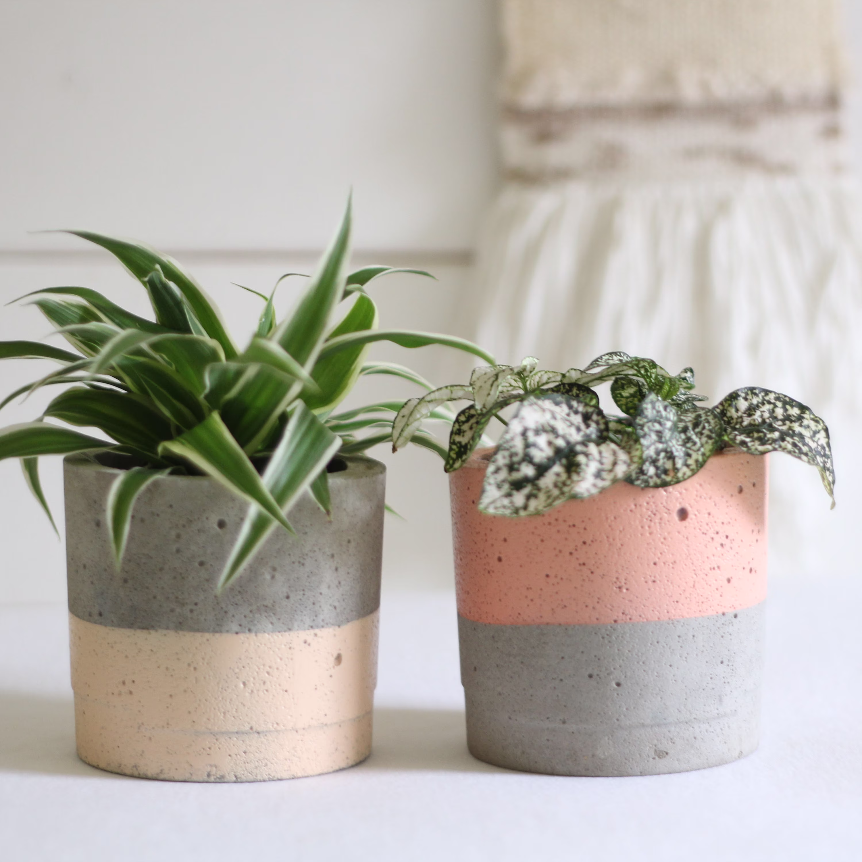Set Of Peach Colour Block Concrete Planters - Indoor Plant Pot Gift For Her Housewarming