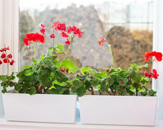 Modern Elegant White Metal Planter, Flower Pot | Set Of 2