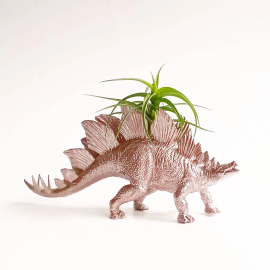 Rose Chrome Dino Planter // Air Plants Indoor Planters