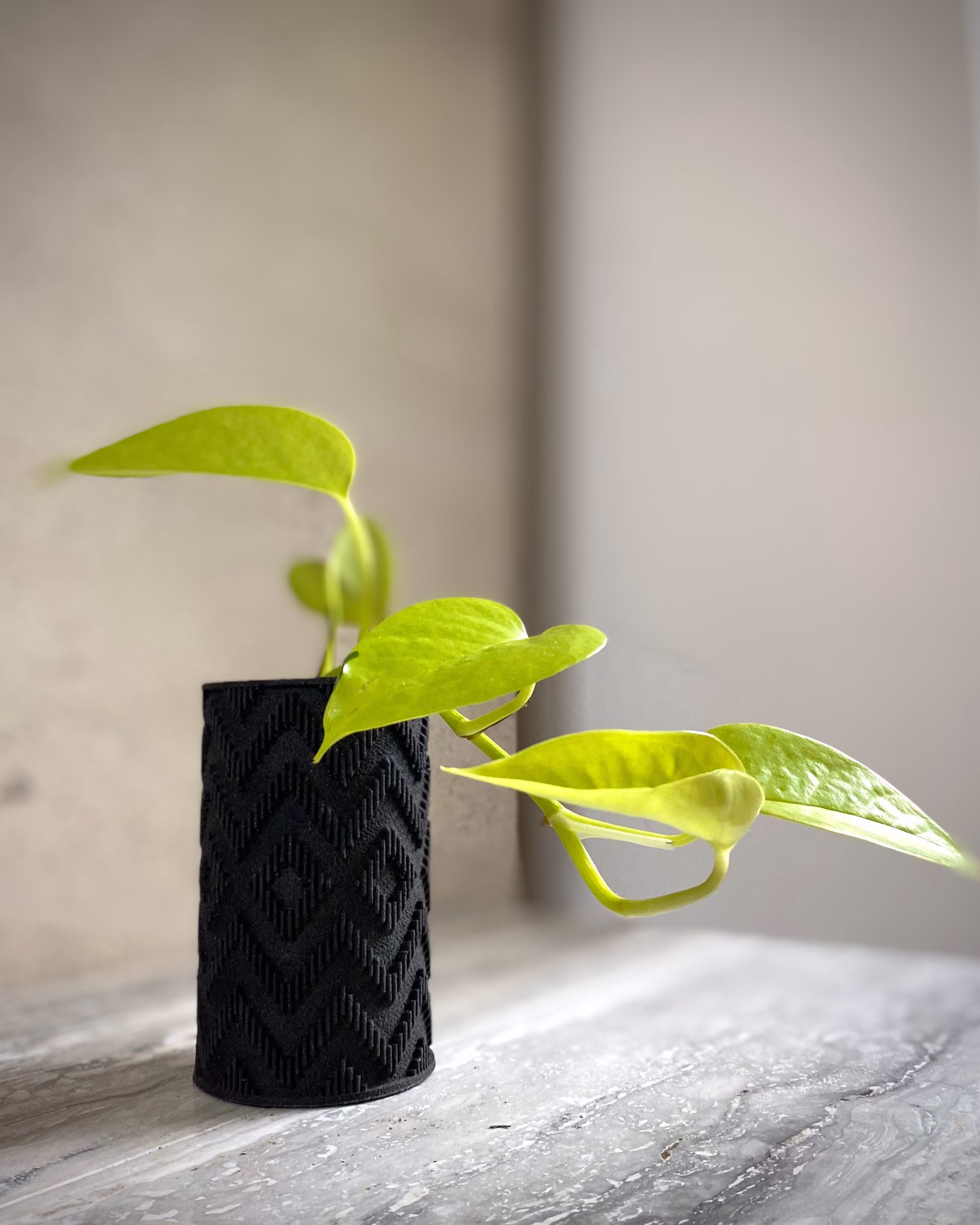 Tall Planter "Ziggy Tall Black