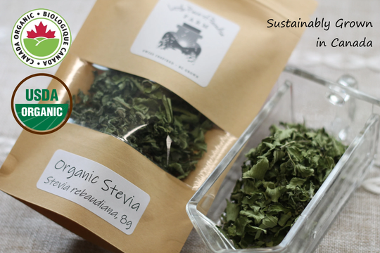 2022 Harvest Organic Stevia, Sustainable Farm Grown Herbs