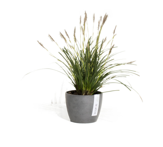 Ecopots Stockholm Herb Pot Made From Recycled Plastic