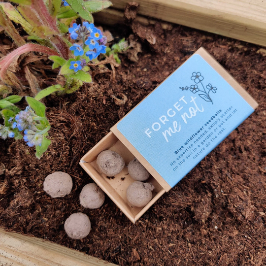 Forget Me Not Seedballs // Eco Friendly Seed Bombs Gift
