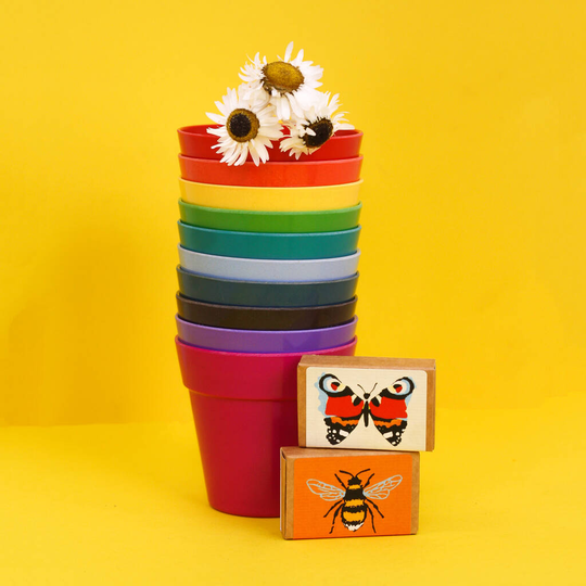 Kids Eco Seedling Pots And Wildlife Seeds