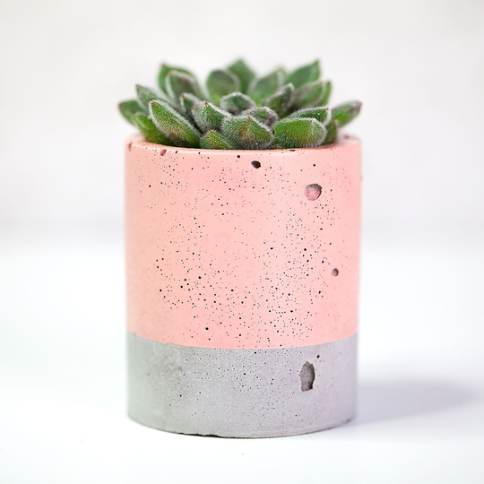 Concrete & Peach Plant Pot - Planter Cactus Planter Succulent Pots Pot