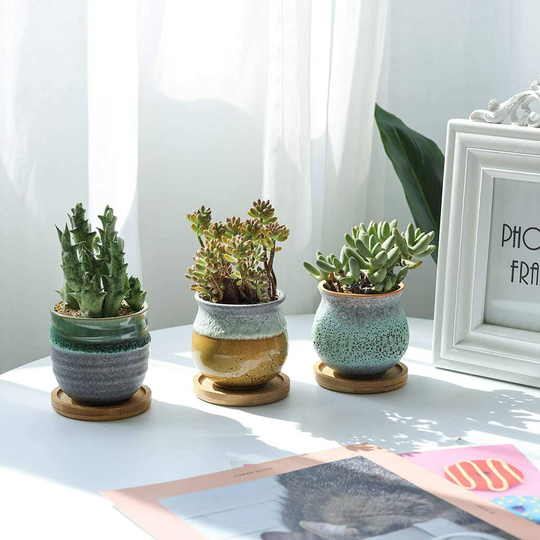 Pack Of Six Multi Coloured Mini Ceramic Planters
